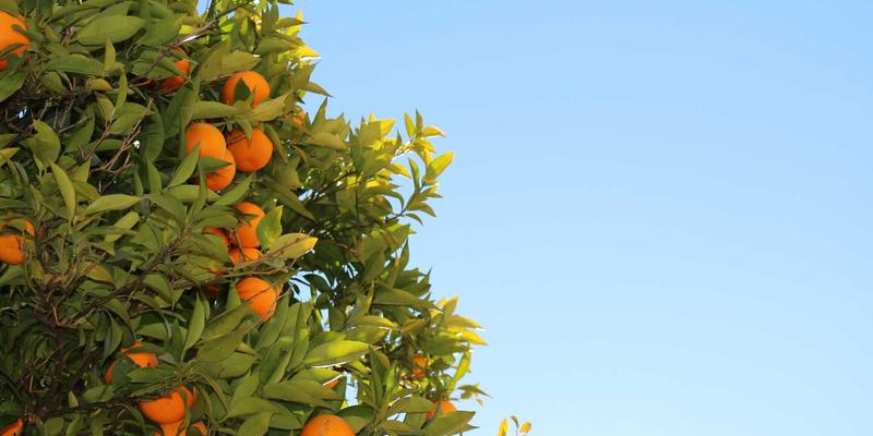 TSN技术深度解析：工业互联网的“时间守护者”如何重塑智能制造