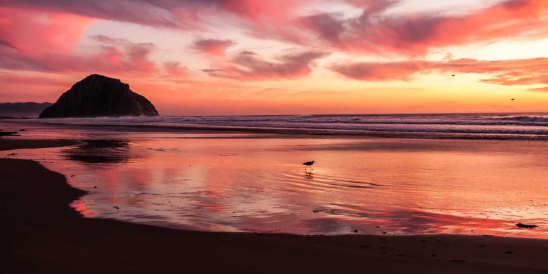 告别网络拥堵：SDN如何重塑数据中心流量管理，附实用工具与教程